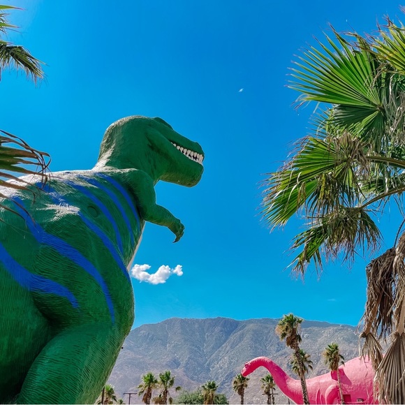 🤗 - Picture 11 of 17